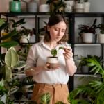 Which Five Advantages Come with Having a House Plant?