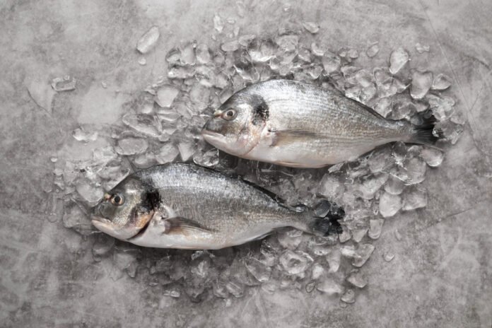 Heavy Metals Hiding in Your Favorite Fish